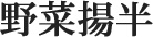 野菜揚半